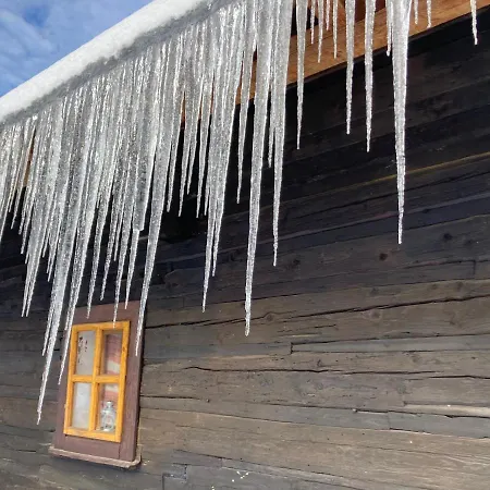 Drevenicka Dorotka *